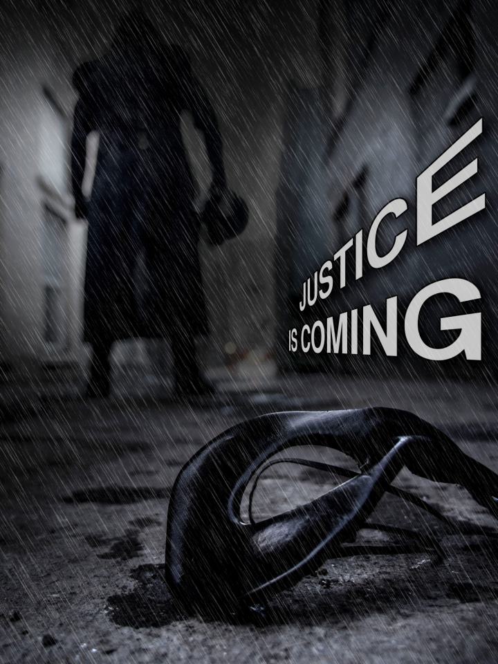 THE PROTECTOR CHRONICLES. Justice is coming.